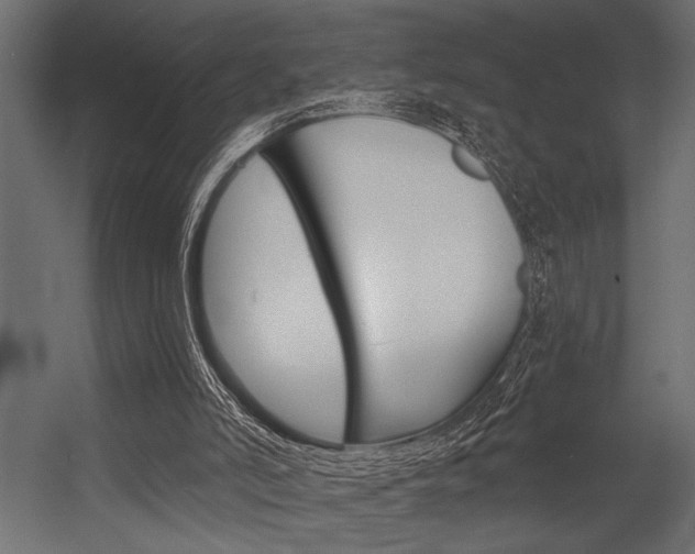 X0000054360006200507290817