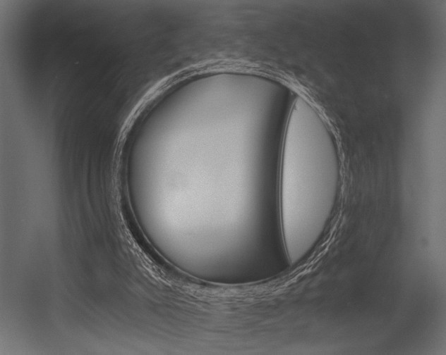 X0000054360007200507290817