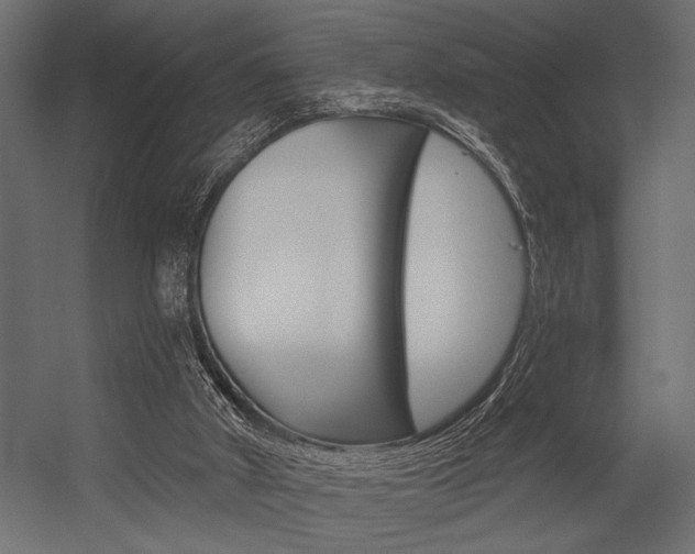 X0000054360010200507290817