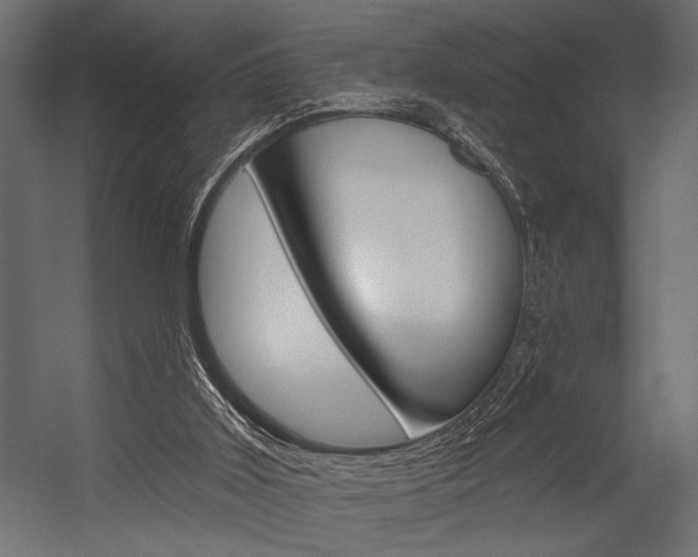 X0000054360011200507290817