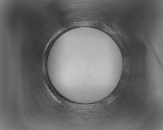 X0000054360012200507290817