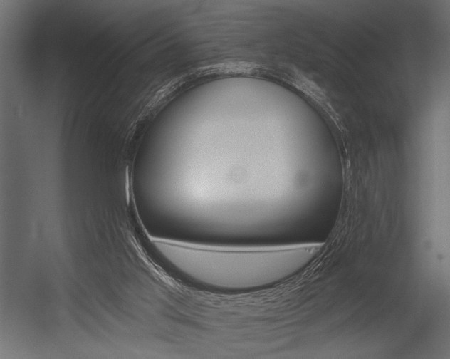 X0000054360013200507290817