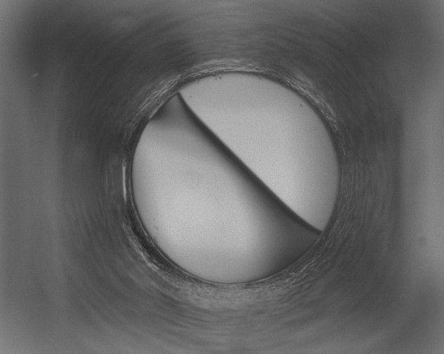 X0000054360014200507290817