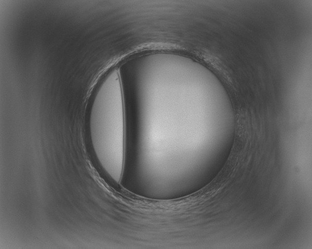 X0000054360015200507290817
