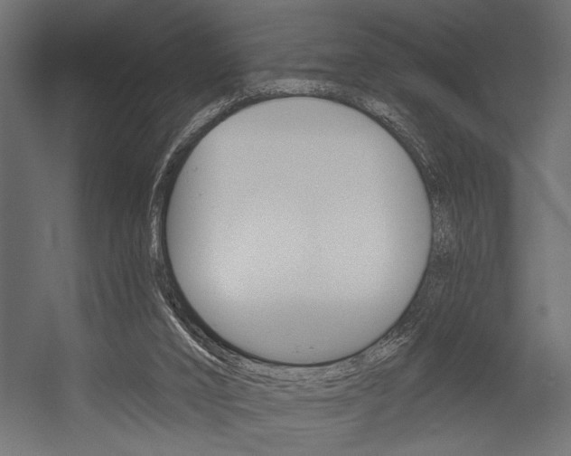 X0000054360016200507290817