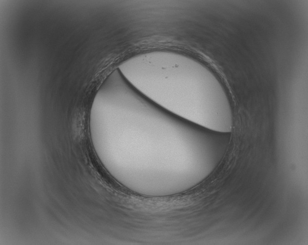 X0000054360018200507290817