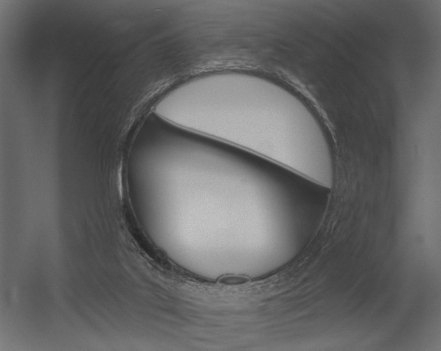 X0000054360019200507290817