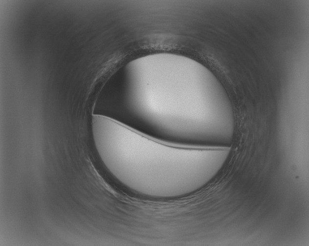 X0000054360020200507290817