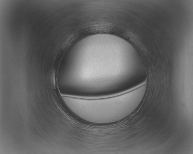 X0000054360021200507290817