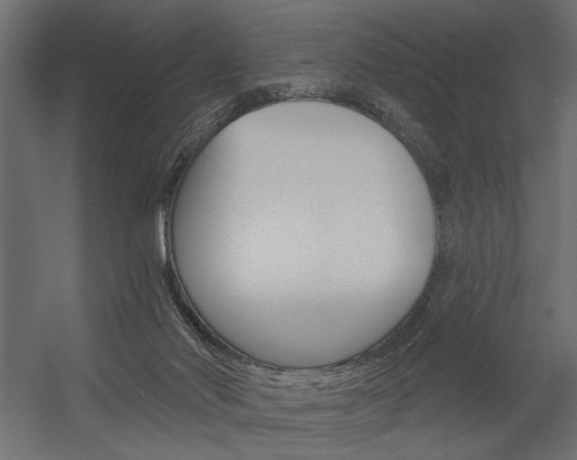 X0000054360022200507290816
