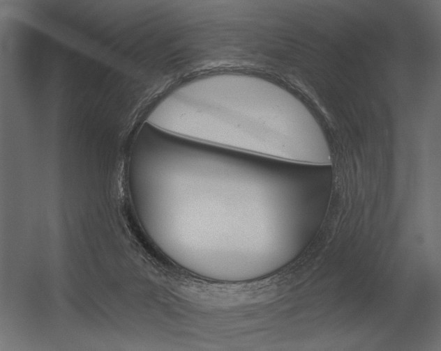 X0000054360023200507290816