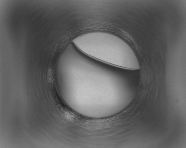 X0000054360025200507290816
