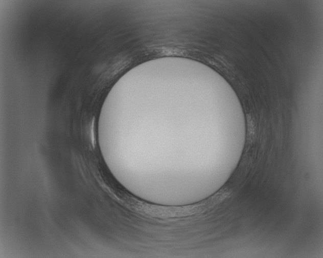 X0000054360028200507290816