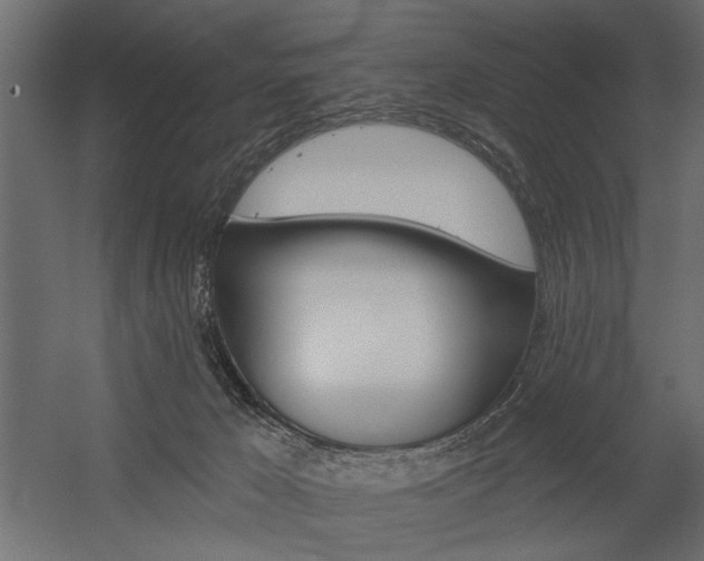 X0000054360029200507290816