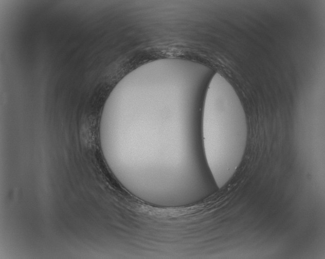 X0000054360030200507290816