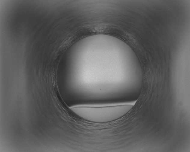 X0000054360031200507290816
