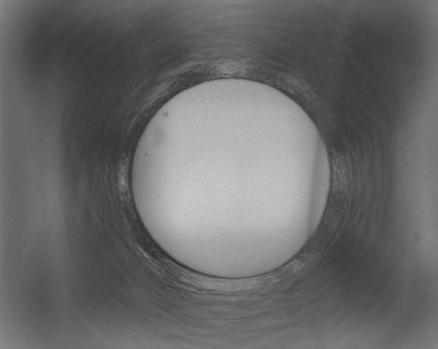X0000054360032200507290816