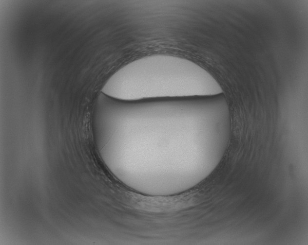 X0000054360034200507290816
