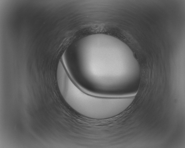 X0000054360035200507290816