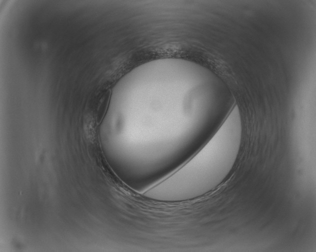 X0000054360037200507290816