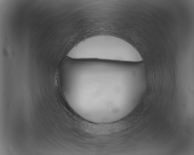 X0000054360038200507290816
