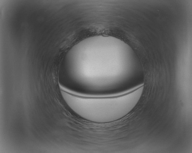 X0000054360039200507290816