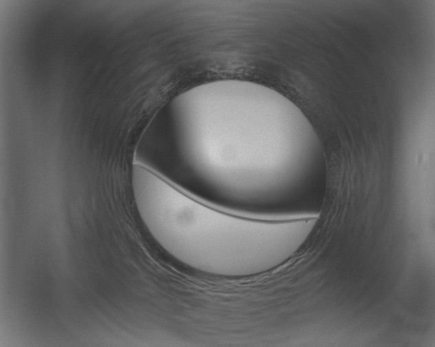 X0000054360040200507290816