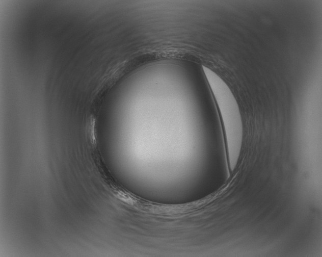 X0000054360041200507290816