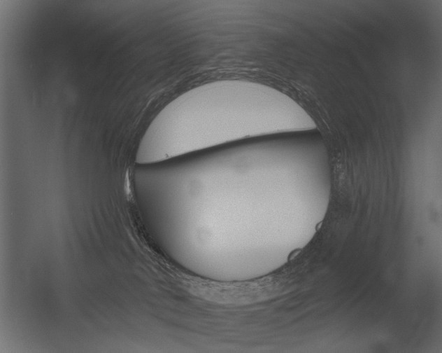 X0000054360042200507290816