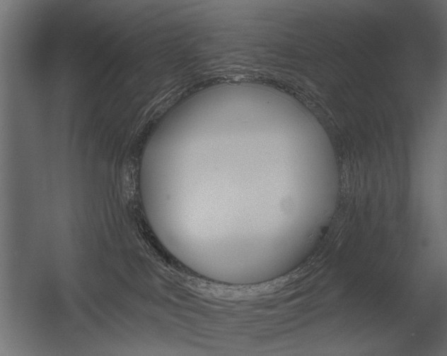 X0000054360043200507290816