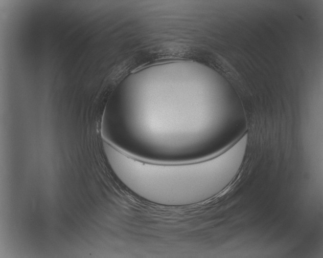 X0000054360045200507290816