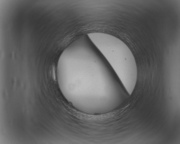 X0000054360046200507290816