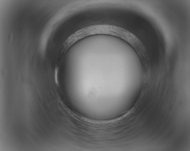 X0000054360047200507290816