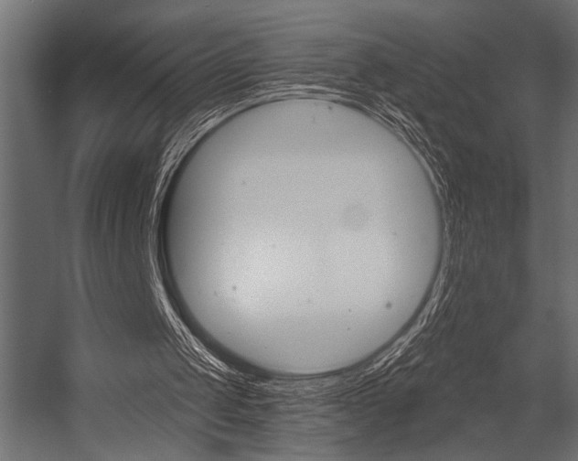 X0000054360049200507290815
