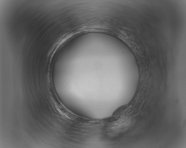 X0000054360050200507290815