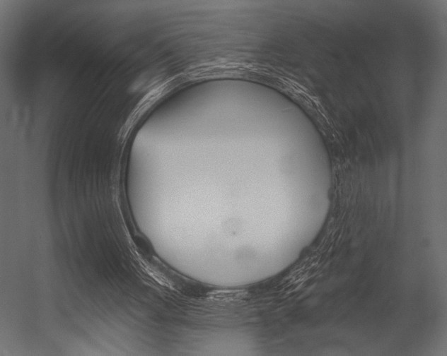 X0000054360051200507290815