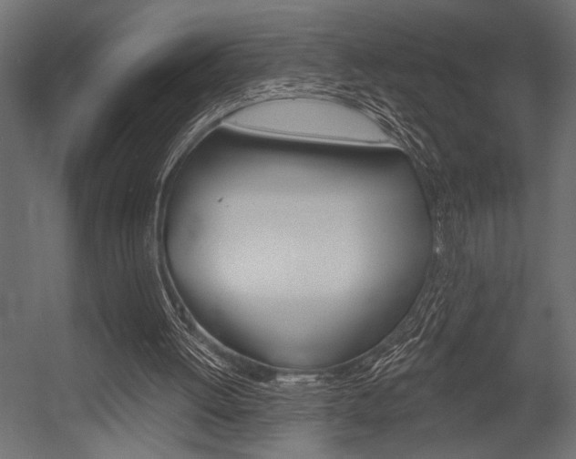 X0000054360052200507290815