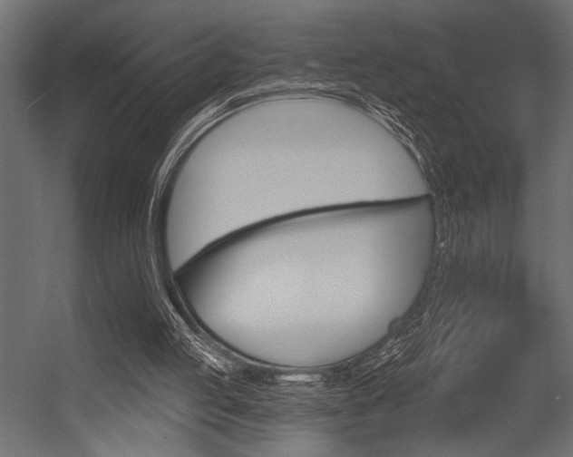 X0000054360053200507290815