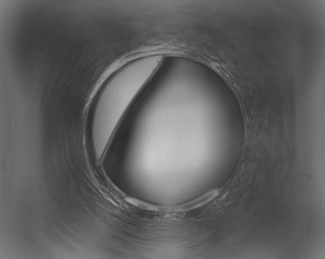 X0000054360056200507290815