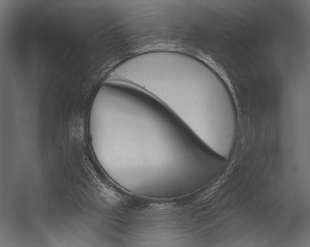 X0000054360057200507290815