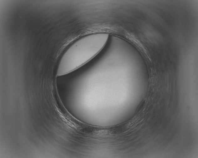 X0000054360058200507290815