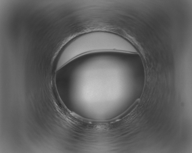 X0000054360060200507290815