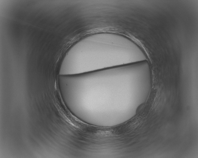 X0000054360061200507290815