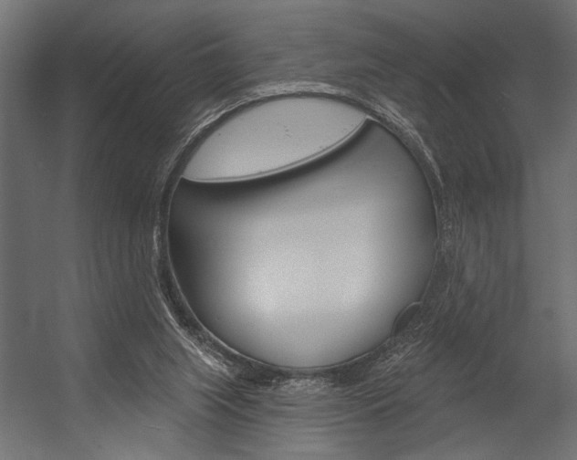 X0000054360063200507290815