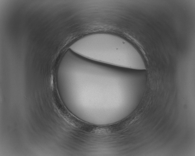 X0000054360067200507290816