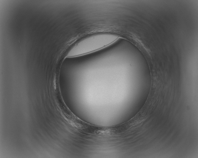 X0000054360068200507290816