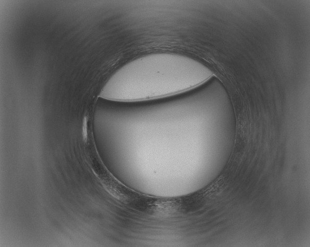 X0000054360070200507290816