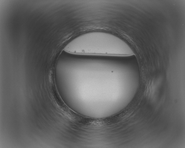 X0000054360071200507290816
