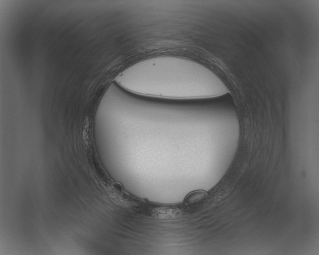 X0000054360073200507290816