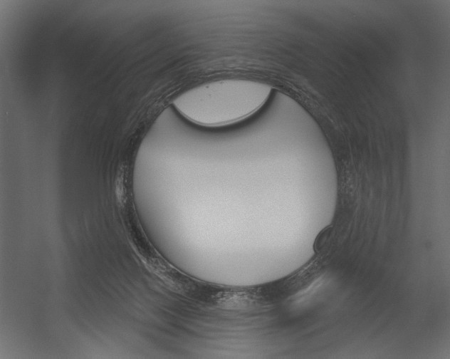 X0000054360074200507290816